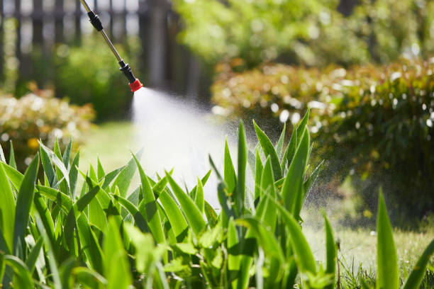 24/7 Emergency Wasp Removal experts in Guernsey, WY